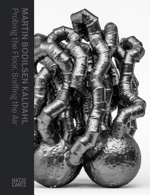 Martin Bodilsen Kaldahl: Probing the Floor, Sniffing the Air - cover