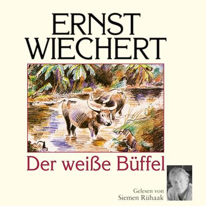 Der weiße Büffel
