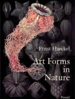 Art Forms in Nature: The Prints of Ernst Haeckel - cover