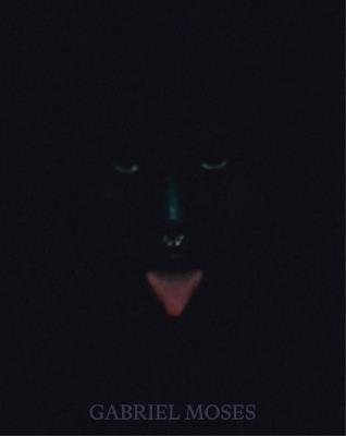 Gabriel Moses: Regina - Gabriel Moses - cover