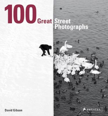100 Great Street Photographs: Paperback Edition - David Gibson - cover