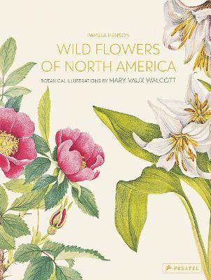 Wild Flowers of North America: Botanical Illustrations by  Mary Vaux Walcott - cover