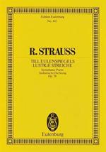 Till Eulenspiegel Lustige Streiche Op.28: After the Old Roguish Manner - in Rondo Form