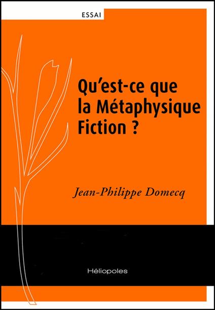 Qu’est-ce que la Métaphysique Fiction ?