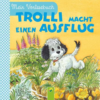 Trolli macht einen Ausflug - Ingrid Pabst,Schwager & Steinlein Verlag,Anne Suess - ebook