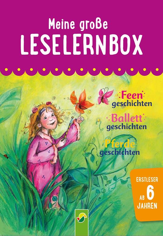 Meine große Leselernbox: Feengeschichten, Ballettgeschichten, Pferdegeschichten - Anke Breitenborn,Carola von Kessel,Ilo Mörsdorf,Bärbel Witzig - ebook