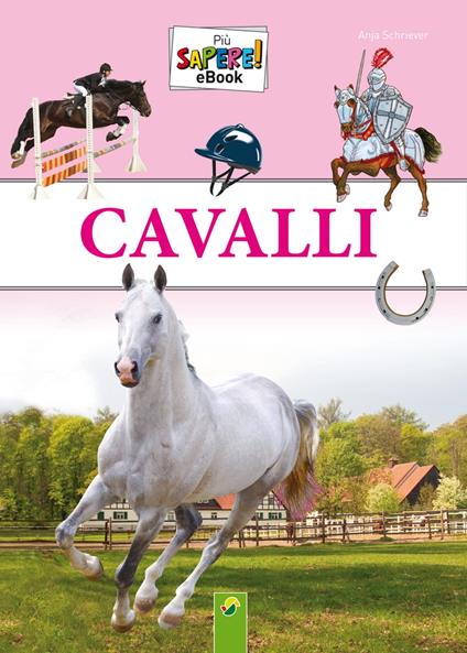Cavalli - Anja Schriever - ebook