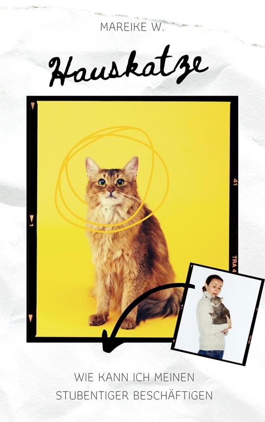 Hauskatze
