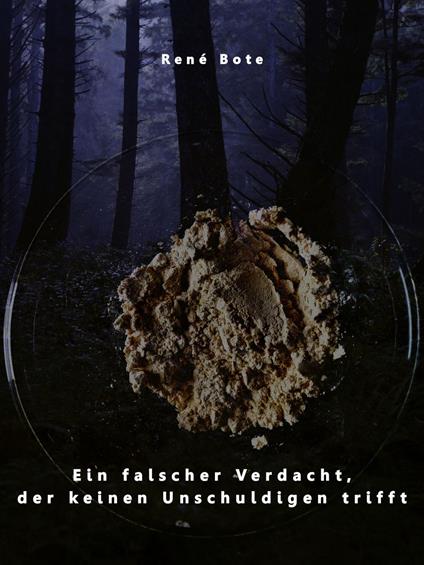 Ein falscher Verdacht, der keinen Unschuldigen trifft - René Bote - ebook