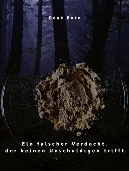 Ein falscher Verdacht, der keinen Unschuldigen trifft - René Bote - ebook