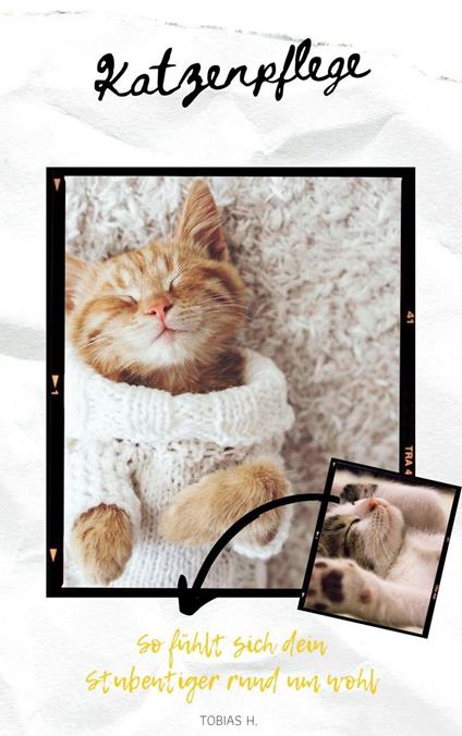 Katzenpflege - so fühlt sich dein Stubentiger rund um wohl