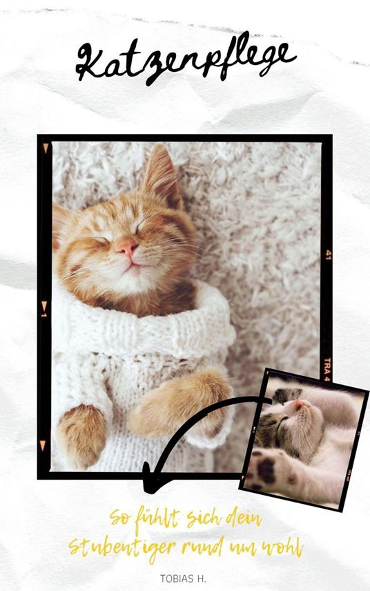 Katzenpflege - so fühlt sich dein Stubentiger rund um wohl