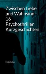 Zwischen Liebe und Wahnsinn - 16 Psychothriller Kurzgeschichten