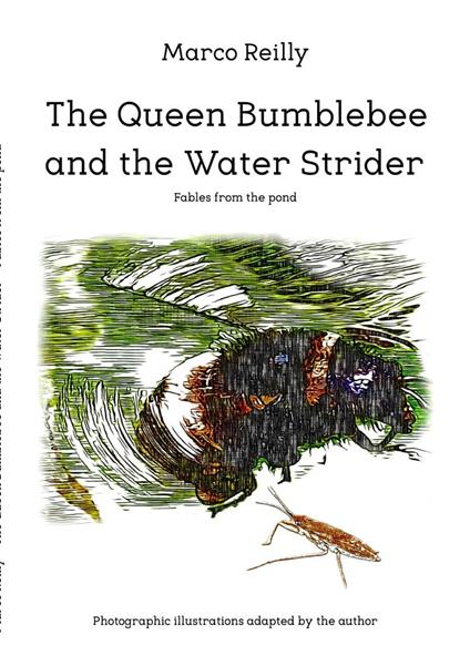 The Queen Bumblebee and the Water Strider