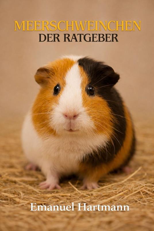 Meerschweinchen