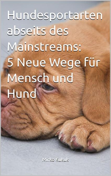 Hundesportarten abseits des Mainstreams: 5 Neue Wege für Mensch und Hund