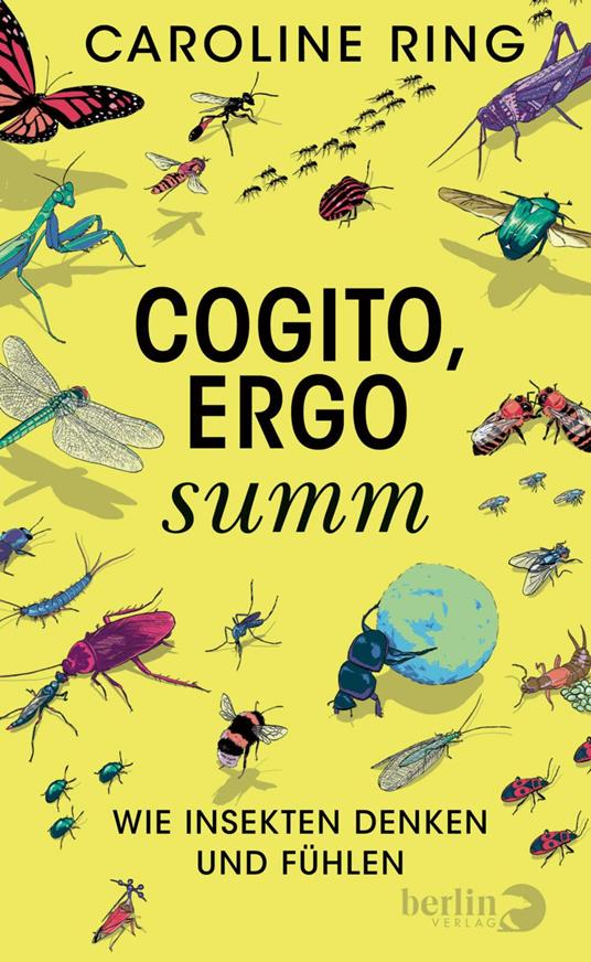 Cogito, ergo summ