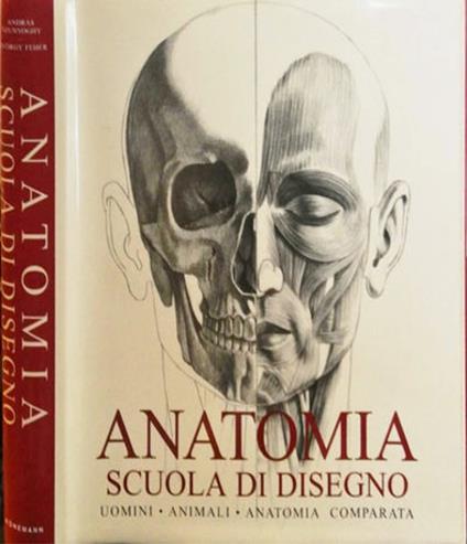Anatomia. Scuola di disegno. Uomini, animali, anatomia comparata. Ediz. illustrata - copertina
