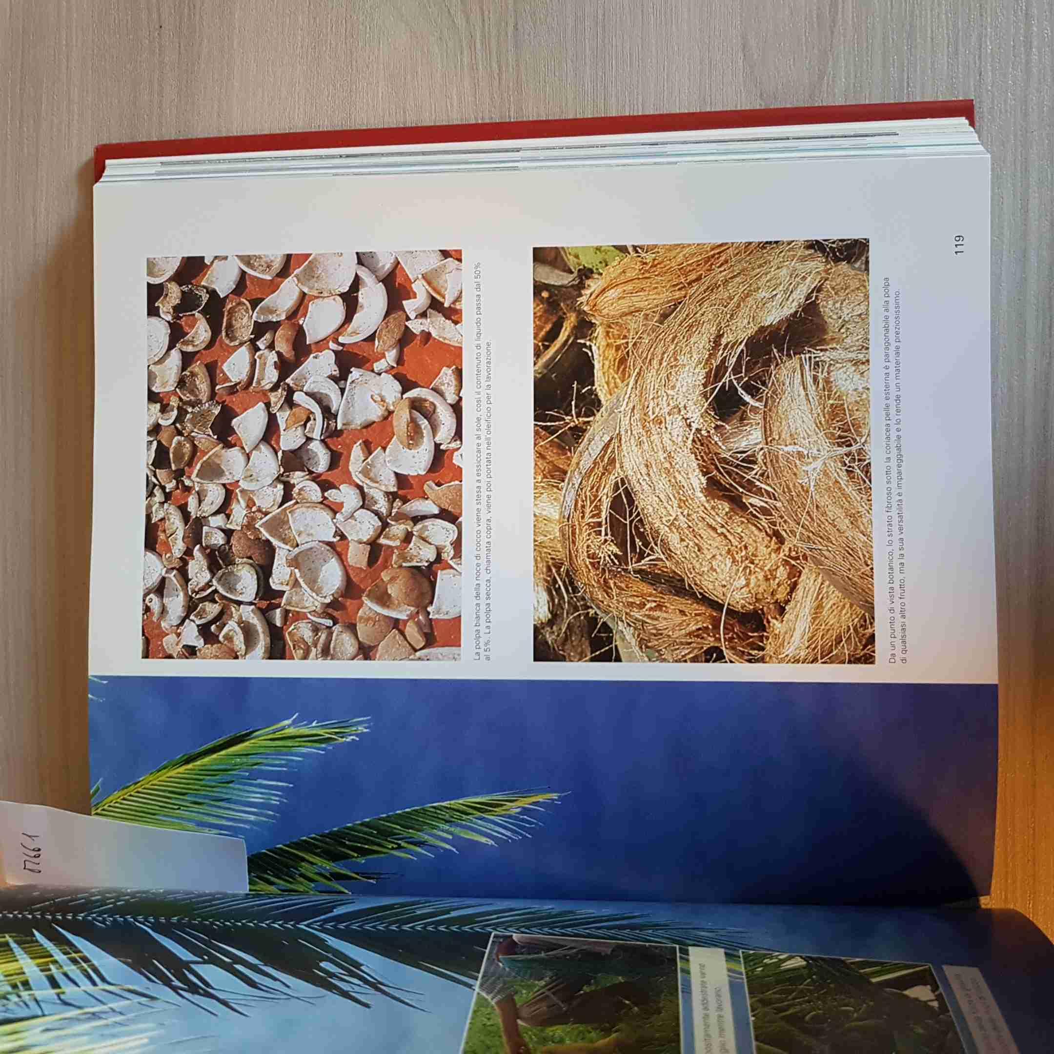 Specialità del sud-est asiatico. Ediz. illustrata