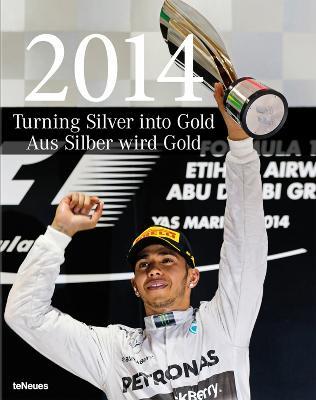 Turning silver in to gold. Ediz. illustrata - copertina