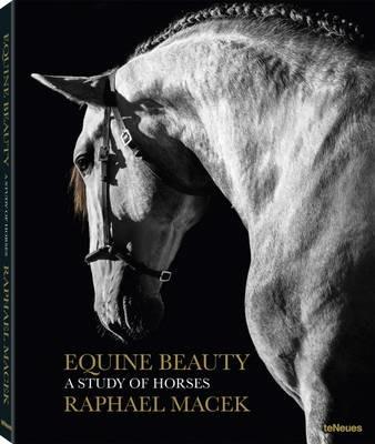 Equine beauty. A study of horses. Ediz. a colori - Raphael Macek - copertina