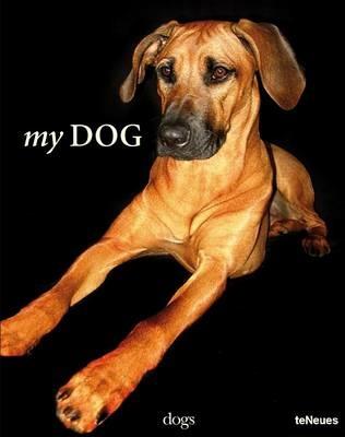 My dog - copertina