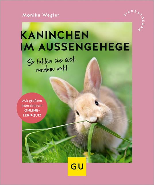 Kaninchen im Außengehege