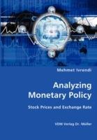 Analyzing Monetary Policy - Mehmet Ivrendi - cover