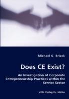 Does CE Exist? - An Investigation of Corporate Entrepreneurship Practices within the Service Sector - Michael G Brizek - cover