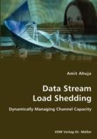 Data Stream Load Shedding - Dynamically Managing Channel Capacity