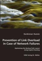 Prevention of Link Overload Prevention of Link Overload- Optimizing the Backup Path Layout Using Explicit Routing