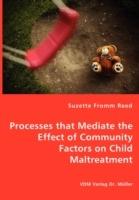 Processes That Mediate the Effect of Community Factors on Child Maltreatment - Suzette Fromm Reed - cover