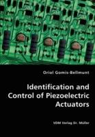 Identification and Control of Piezoelectric Actuators