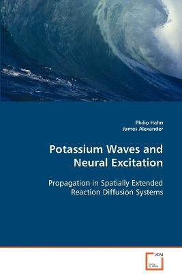 Potassium Waves and Neural Excitation - Philip Hahn,James Alexander - cover