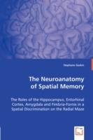 The Neuroanatomy of Spatial Memory - Stephane Gaskin - cover