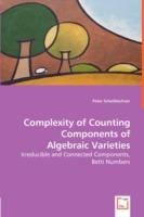 Complexity of Counting Components of Algebraic Varieties - Irreducible and Connected Components, Betti Numbers - Peter Scheiblechner - cover