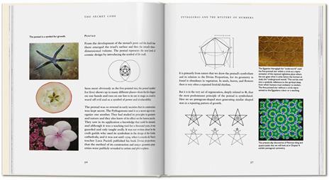 The secret code. Ediz. inglese - Priya Hemenway - 2