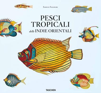 Pesci tropicali delle Indie orientali. Ediz. italiana, spagnola e portoghese - Theodore W. Pietsch - copertina