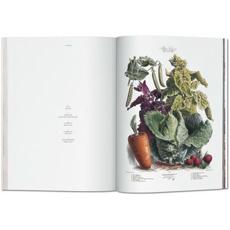 Vilmorin, vegetable garden. Ediz. italiana, spagnola e portoghese - Werner Dressendörfer - 3