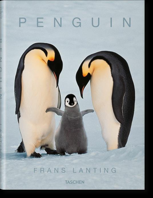 Pingüino. Edizione spagnola - copertina