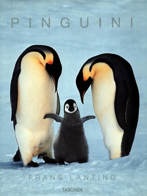 I pinguini. Ediz. illustrata - copertina