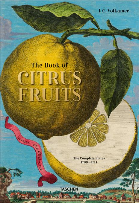 J. C. Volkamer. The Book of Citrus Fruits. Ediz. inglese, francese, tedesca - Iris Lauterbach - copertina