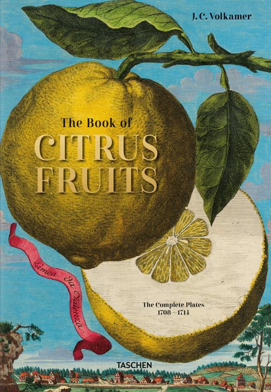 Johann Christoph Volkamer. The book of citrus fruits. Ediz. inglese, francese e tedesca - Iris Lauterbach - copertina