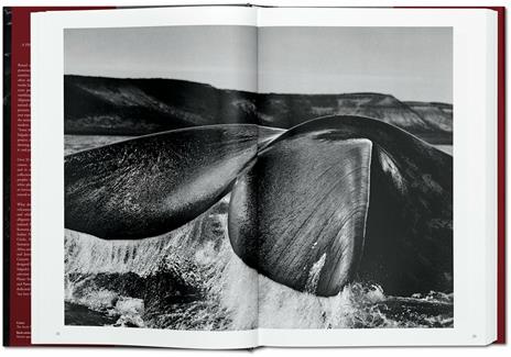 Sebastião Salgado. Genesis. Ediz. inglese - Sebastião Salgado - 2