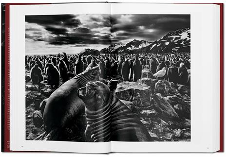 Sebastião Salgado. Genesis. Ediz. inglese - Sebastião Salgado - 3