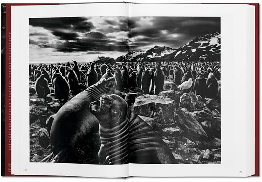 Sebastião Salgado. Genesis. Ediz. inglese - Sebastião Salgado - 3