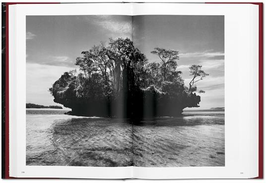 Sebastião Salgado. Genesis. Ediz. inglese - Sebastião Salgado - 4