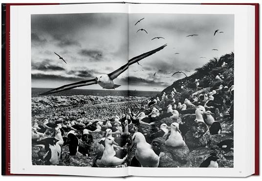 Sebastião Salgado. Genesis. Ediz. inglese - Sebastião Salgado - 7