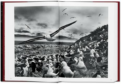 Sebastião Salgado. Genesis. Ediz. inglese - 7