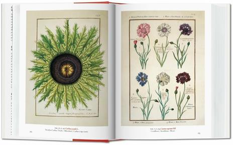 A garden Eden. Masterpieces of botanical illustration. Ediz. italiana, spagnola e portoghese - H. Walter Lack - 4